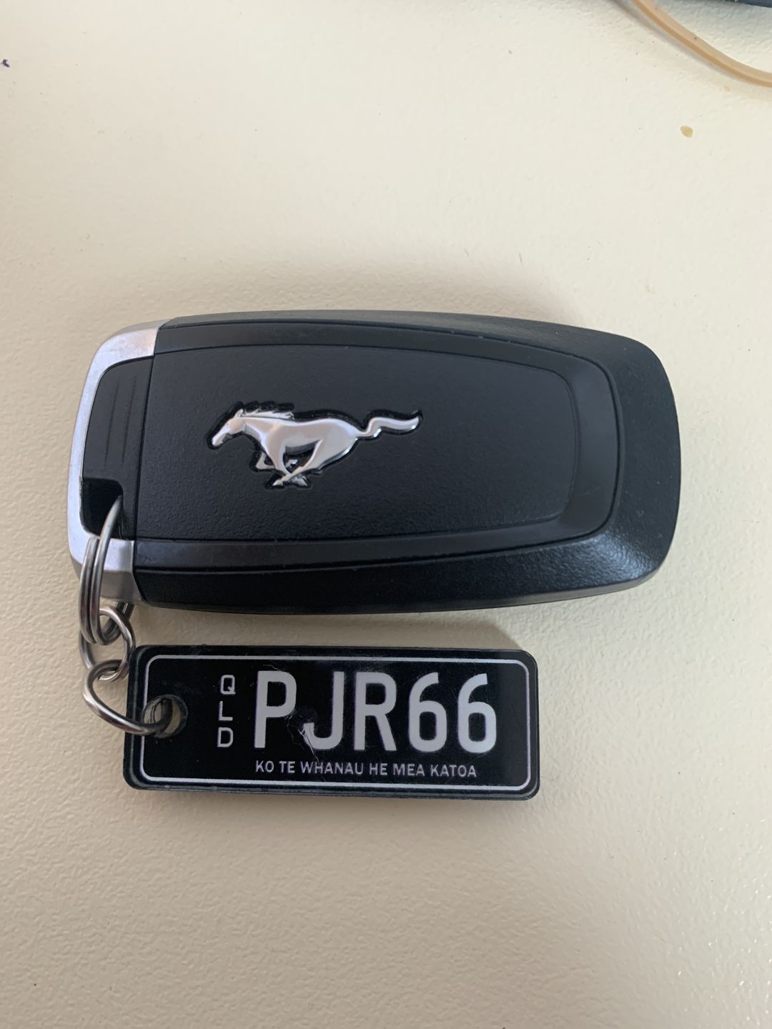 Customer photo review of QLD Classic Licence Plate Custom Keychain