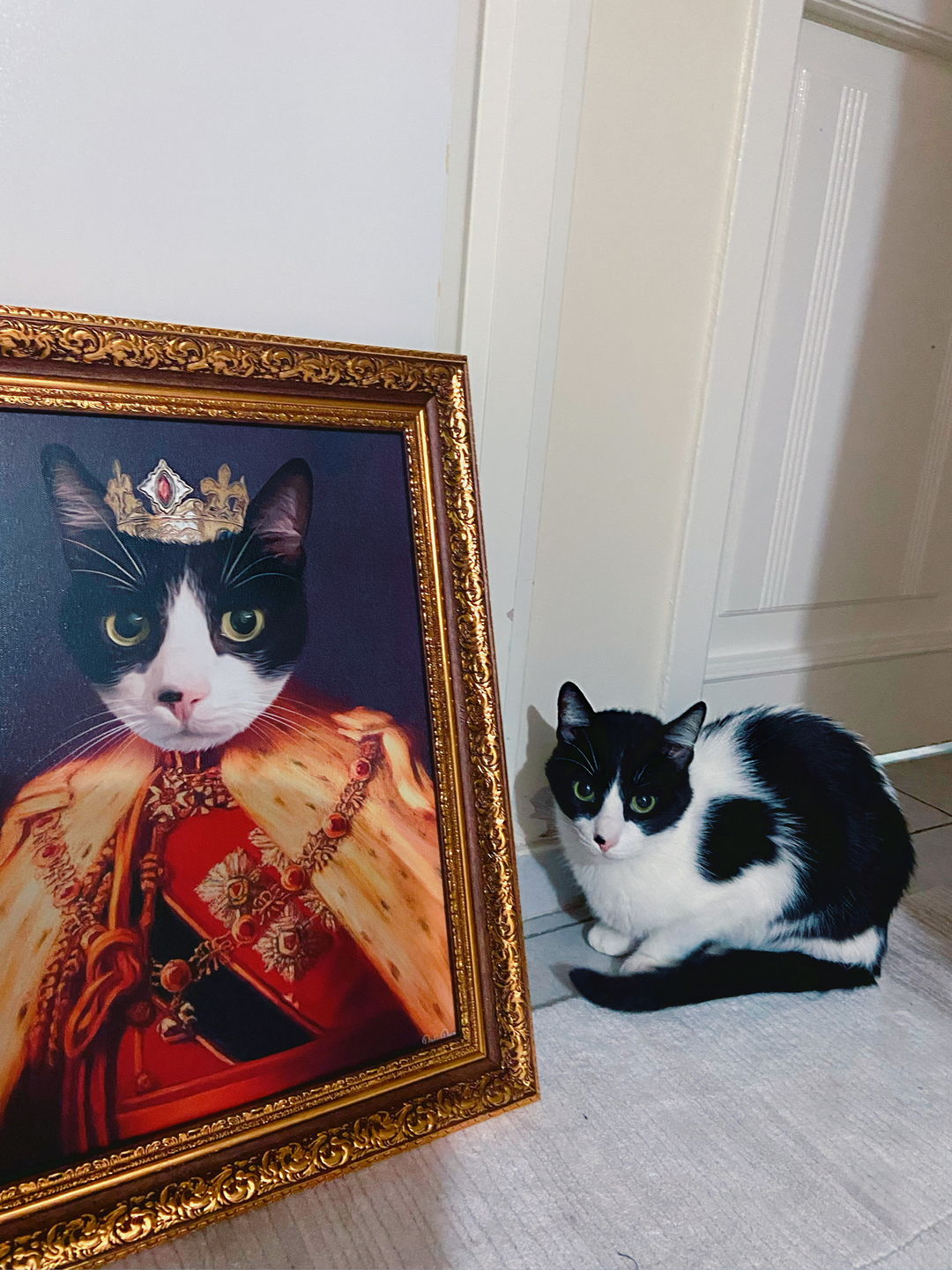 Customer photo review of The King of the Seven Kingdoms