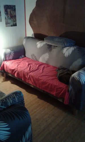 Customer photo review of Exotic Grey - Housses Extensibles de Fauteuil et Canapé