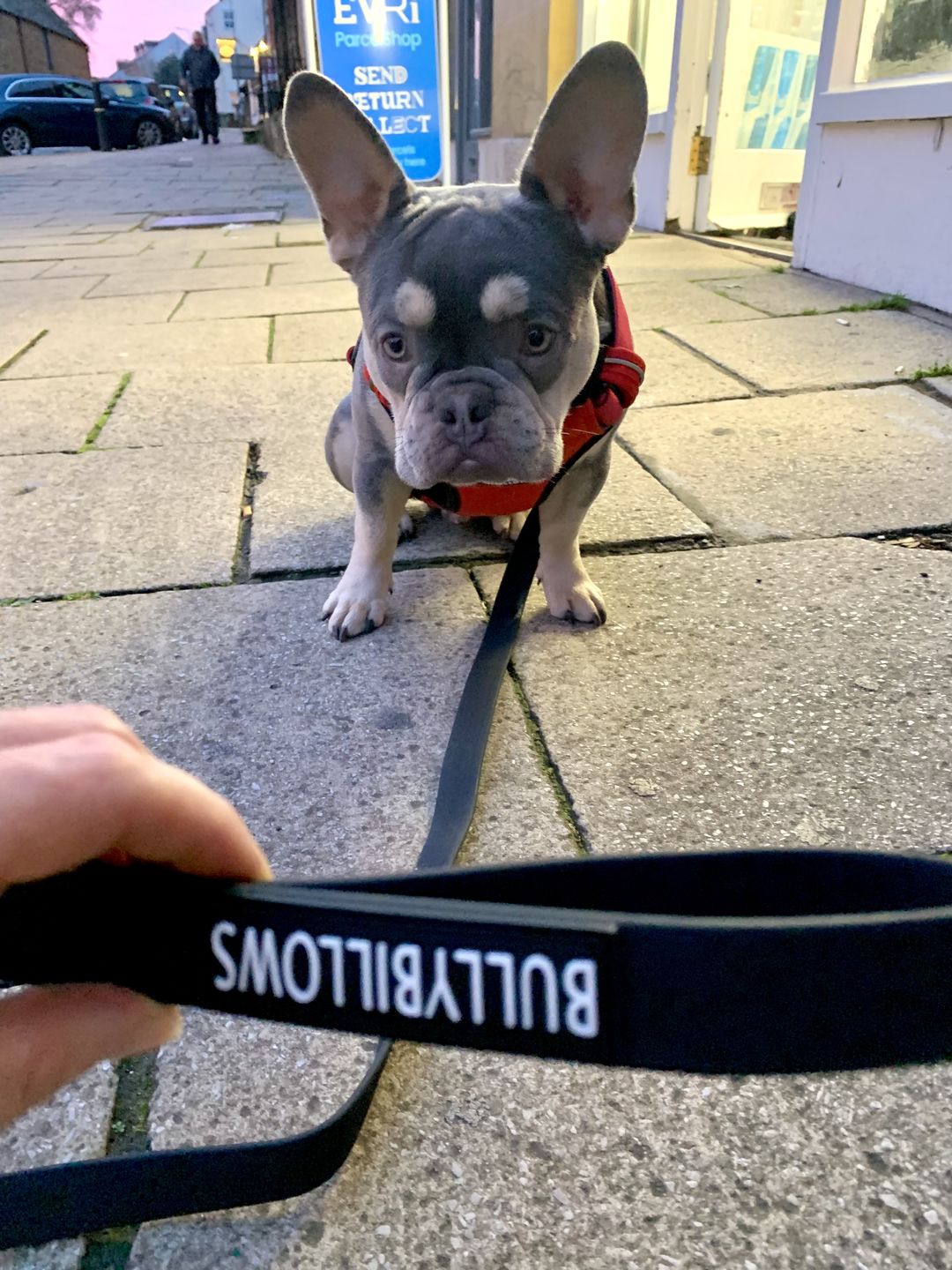 Customer photo review of Billowthane® Swivel Lead | Anti-Tangle & Waterproof - Matte Black