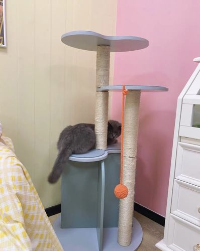 Customer photo review of Michu Vigour Party Cat Tree, Modern Lifestyle Cat Furniture, 105cm Height