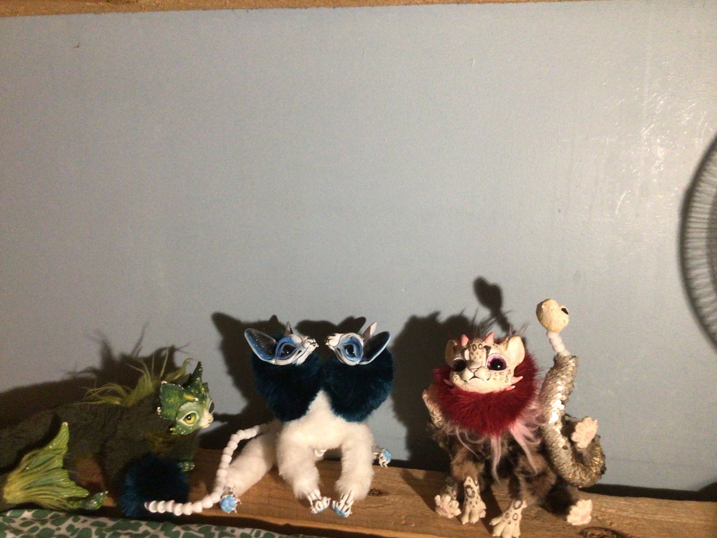 Customer photo review of Schrödinger's cat