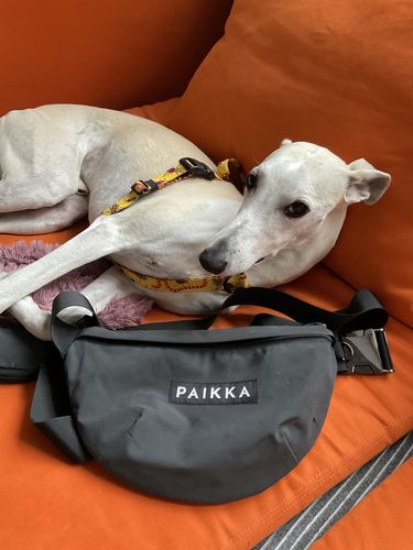 Customer photo review of Visibility Treat Bag  Dark