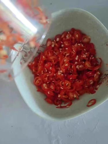 Customer photo review of 4-in-1 Easy Shredder™