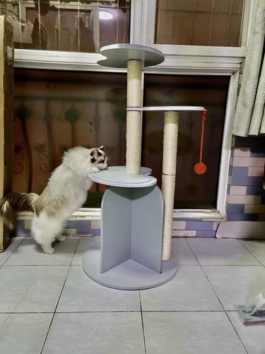 Customer photo review of Michu Vigour Party Cat Tree, Modern Lifestyle Cat Furniture, 105cm Height