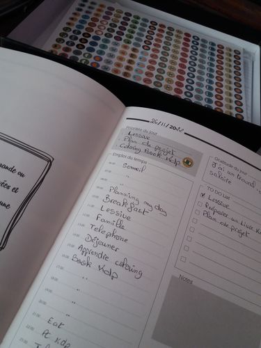 Customer photo review of Life Planner Box Premium