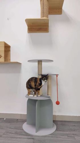 Customer photo review of Michu Vigour Party Cat Tree, Modern Lifestyle Cat Furniture, 105cm Height
