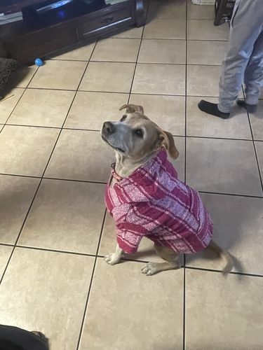 Customer photo review of Playa Poncho - Surprise Color