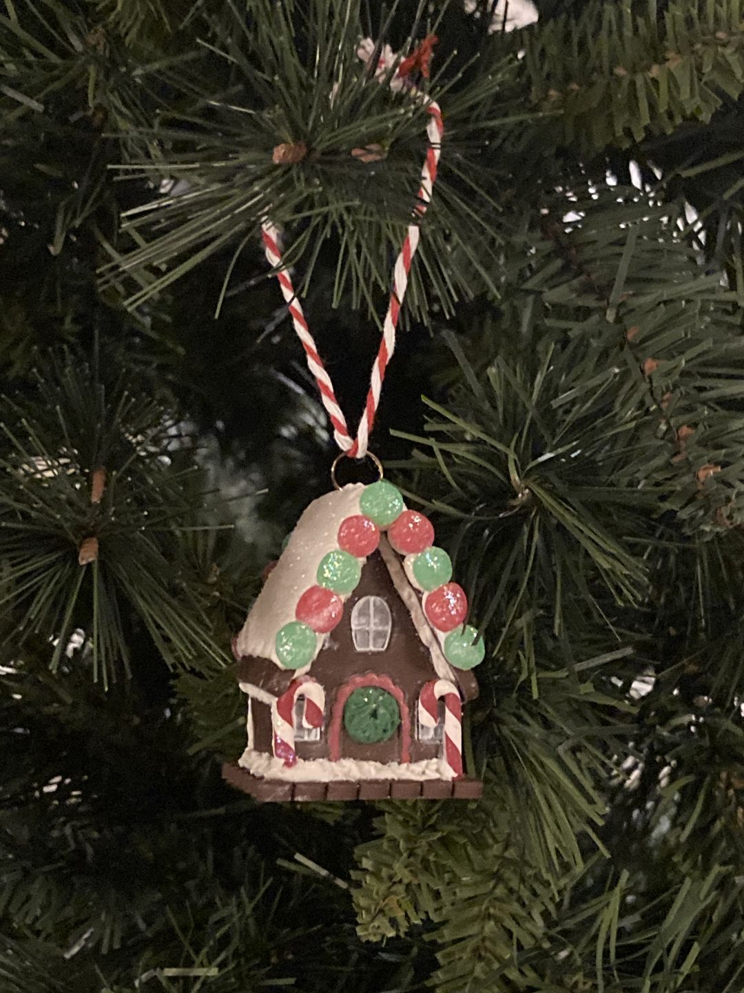 Customer photo review of 3D Gingerbread House Kit