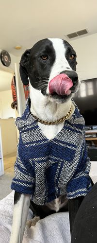 Customer photo review of Playa Poncho - Surprise Color