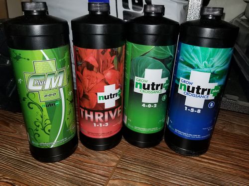 Customer photo review of NUTRI+ THRIVE