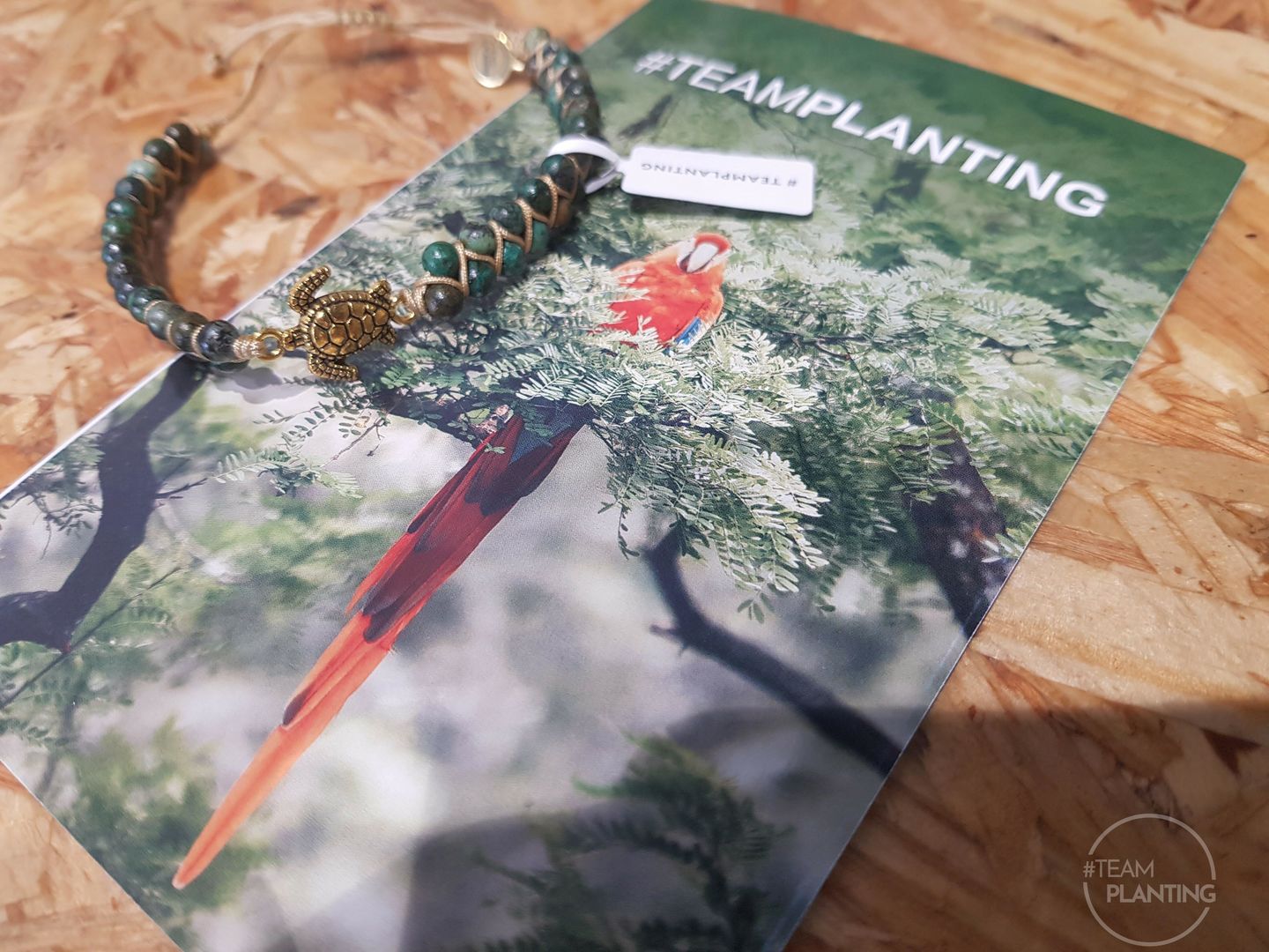 Customer photo review of Shielding Tranquility - Sea Turtle Rainforest Jasper Bracelet