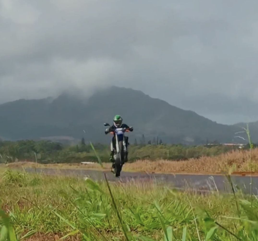 Customer photo review of ABS Wheelie Bar