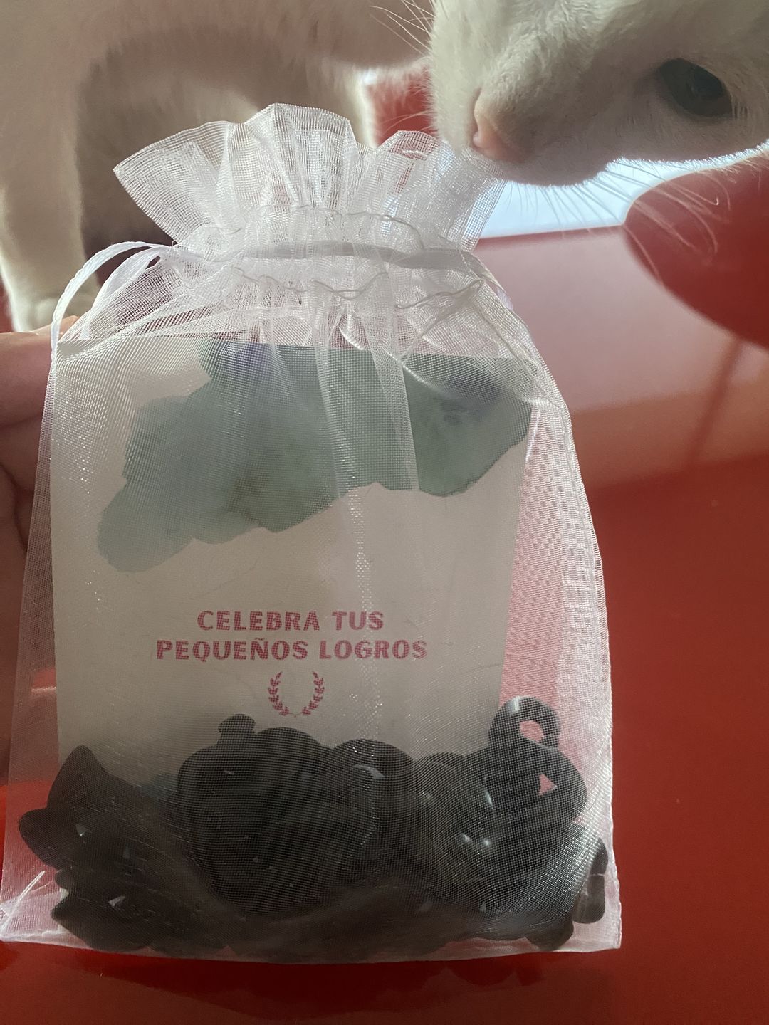 Foto de Leticia C.