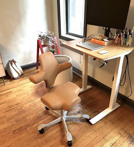 Customer photo review of Capisco Saddle