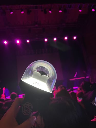 Customer photo review of THE ROSE OFFICIAL LIGHT STICK