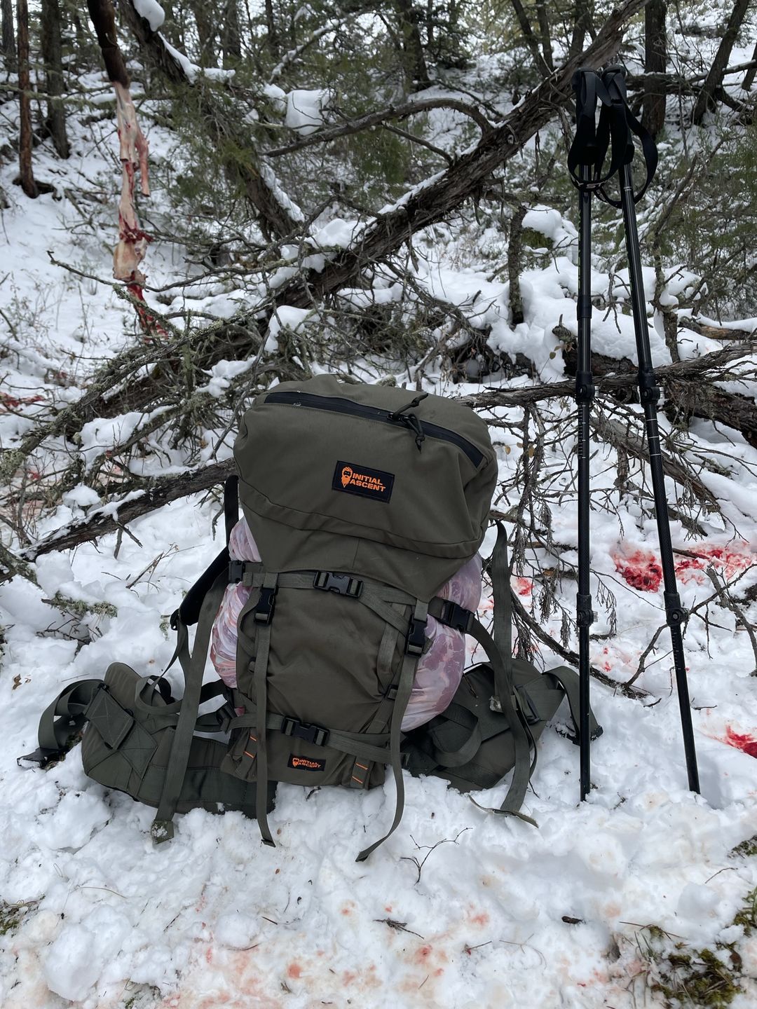 Customer photo review of Pannier Load Carrier - OD Green