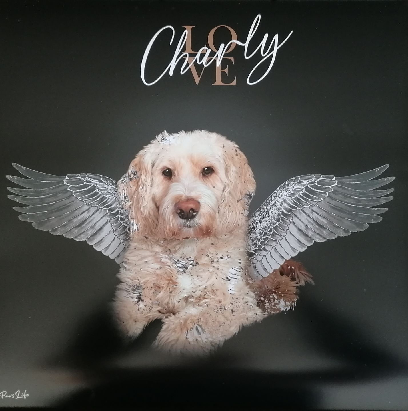 Customer photo review of Personalisiertes Portrait - Silberner Engel Stil