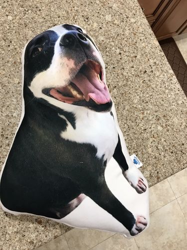 Customer photo review of Create A Custom Dog Pillow