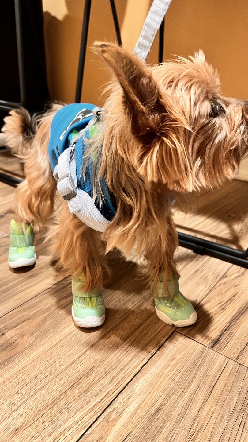 Customer photo review of Caesar 1S