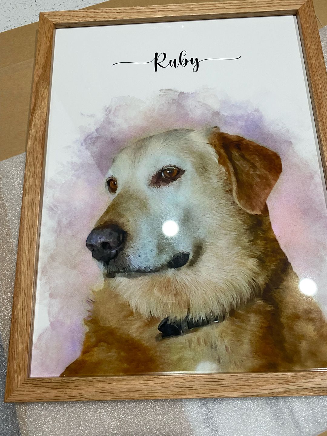 Customer photo review of Custom Pet Portrait
