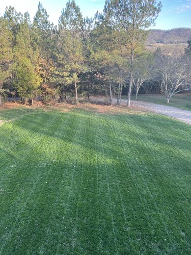 Customer photo review of Cal-Tide