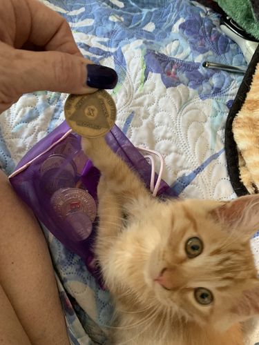 Customer photo review of Recovery Mint 10 Year Bronze AA Meeting Chips - Ten Year Sobriety Coins/Tokens