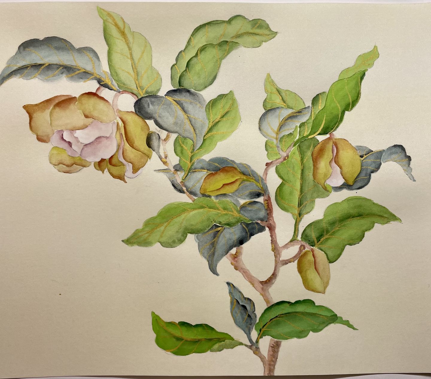 Customer photo review of Silk Paper