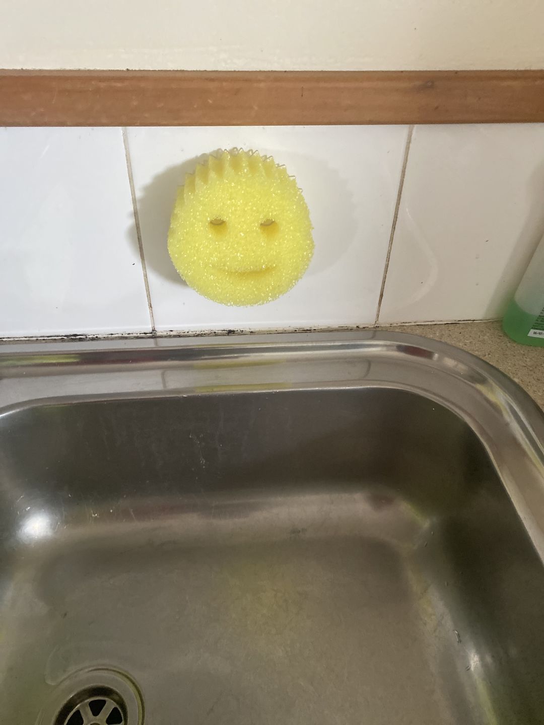 Customer photo review of Scrub Daddy Caddy