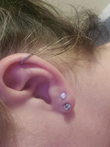 Customer photo review of Titanium Pyramid Design Hinged Segment Ring