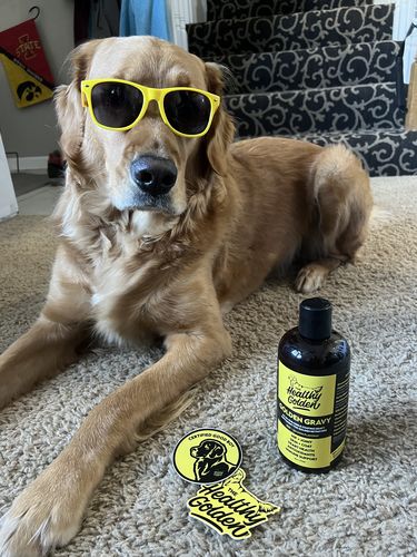 Customer photo review of Golden Gravy