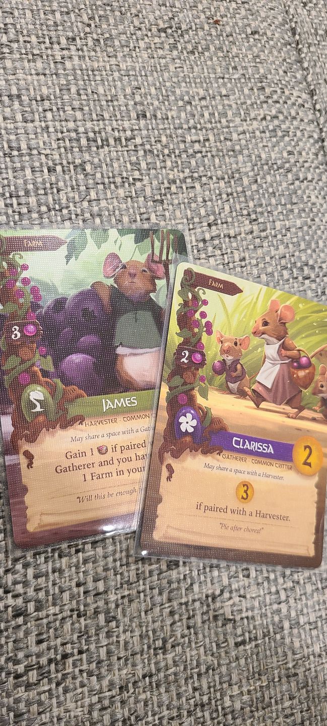 Customer photo review of Clear Matte Standard Size Card Sleeves