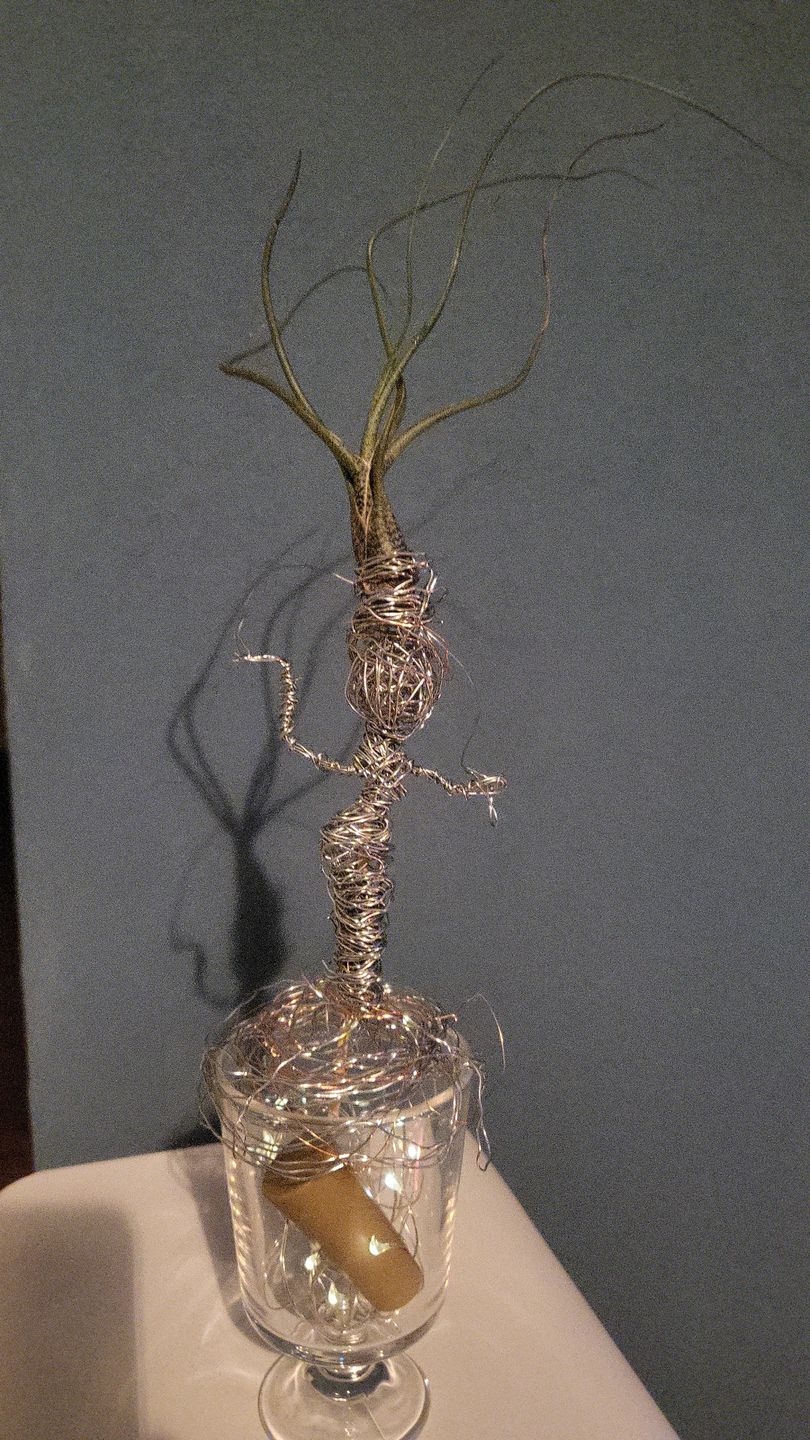 Customer photo review of Tillandsia butzii