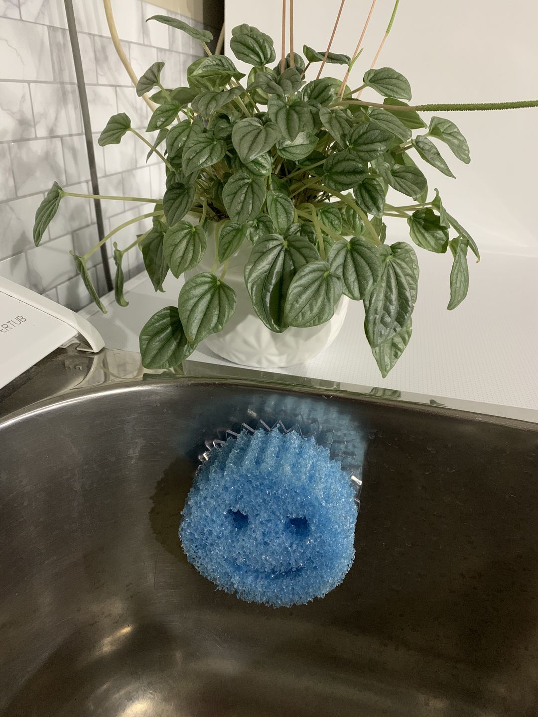 Customer photo review of Scrub Daddy Caddy
