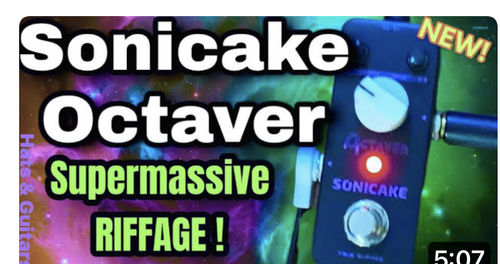 Customer photo review of Octaver