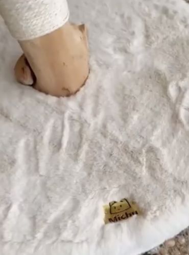 Customer photo review of Michu Selected Real Wood Cat Tree, Small