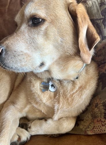 Customer photo review of White