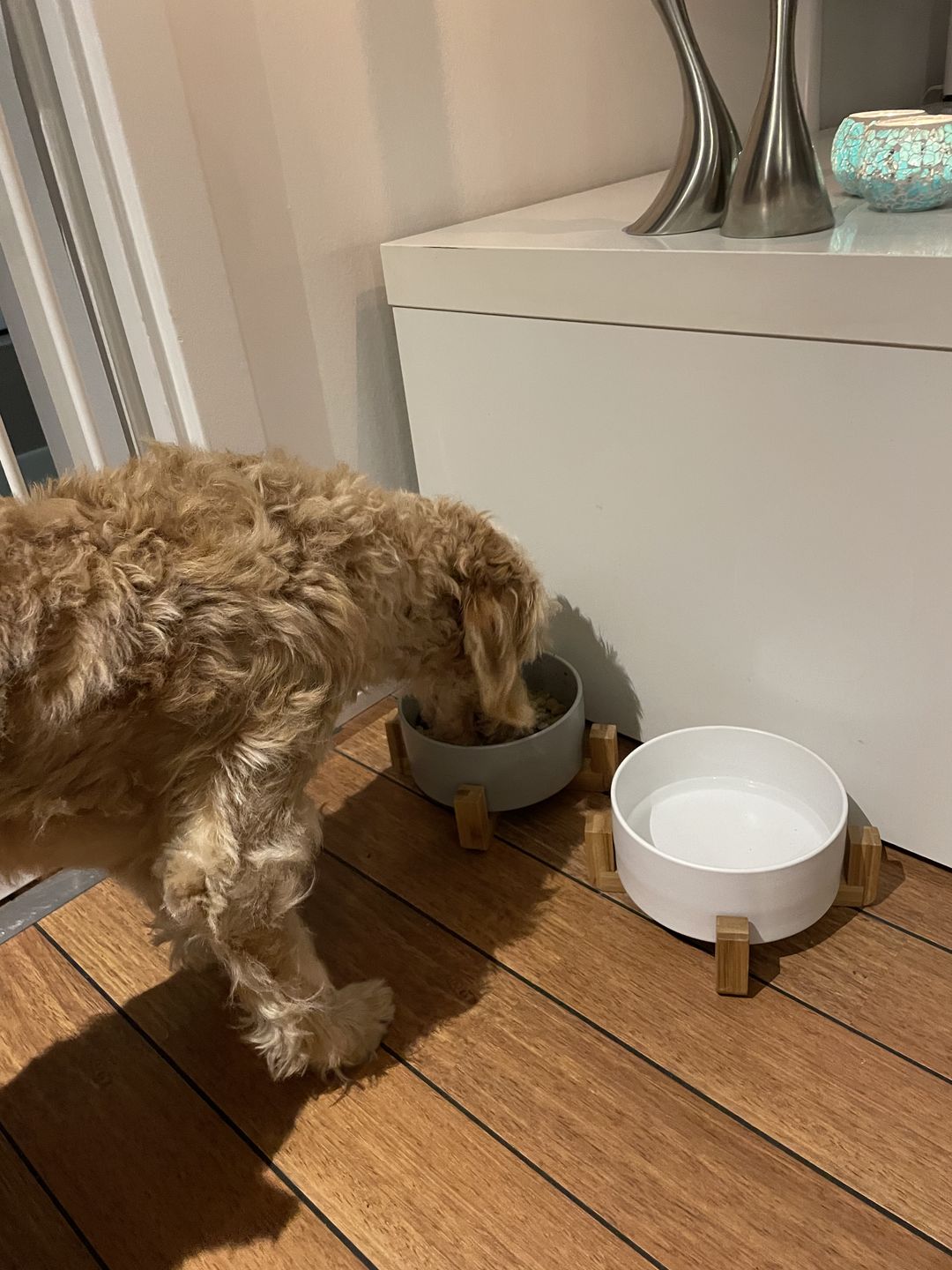 Customer photo review of Hundeskål med træ (hvid)