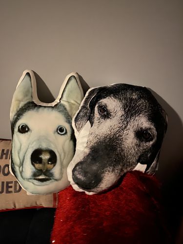 Customer photo review of Create A Custom Dog Pillow