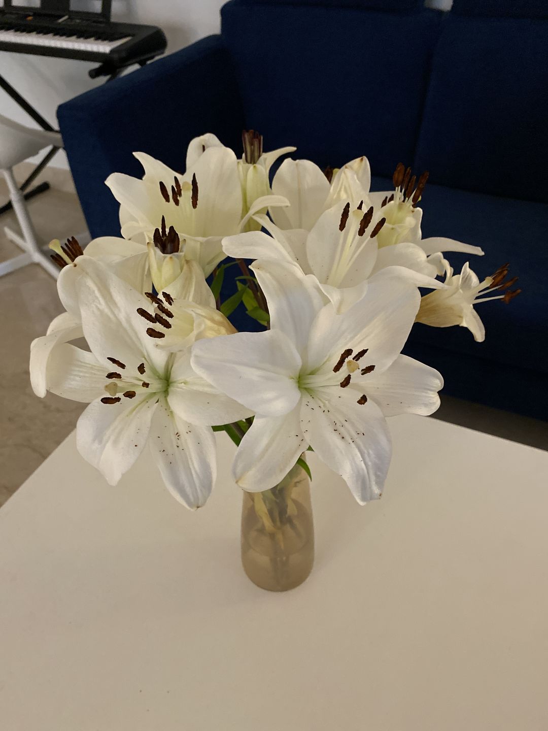 Customer photo review of Asiatic Lily