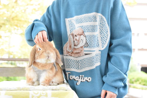 Customer photo review of Full-Body Pet Custom Sweater