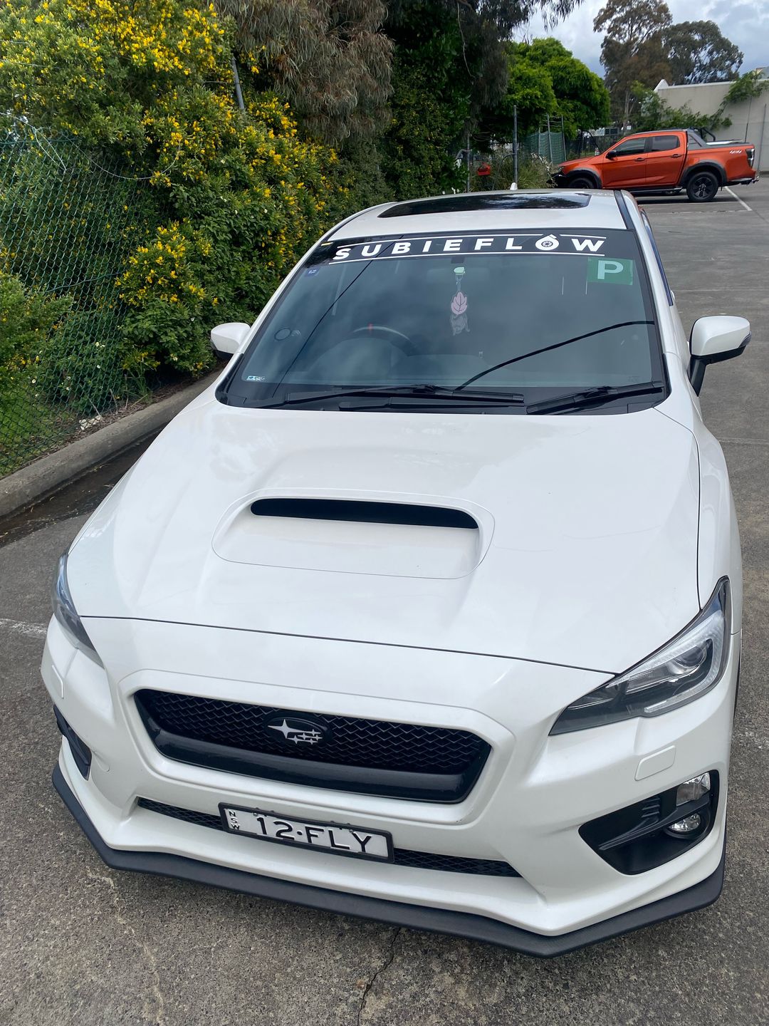 Customer photo review of SubieFlow Windshield Banners