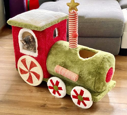Customer photo review of ZEZE Christmas Train Cat Tree Scratcher Bed Furniture