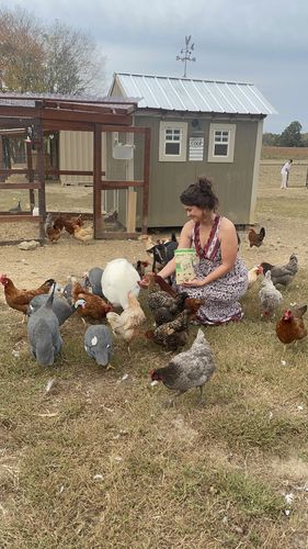 Customer photo review of GrubTerra Dried Larvae