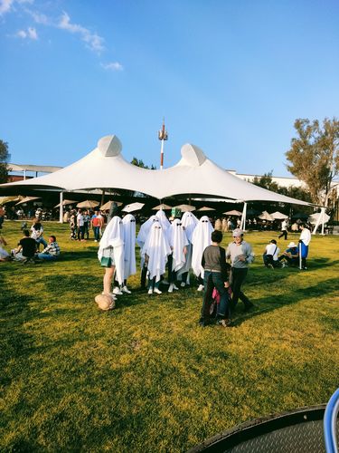 Customer photo review of (HALLOWINE FRIENDS) Hallowine 2022