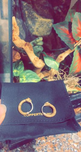 Customer photo review of Ouroboros Earrings