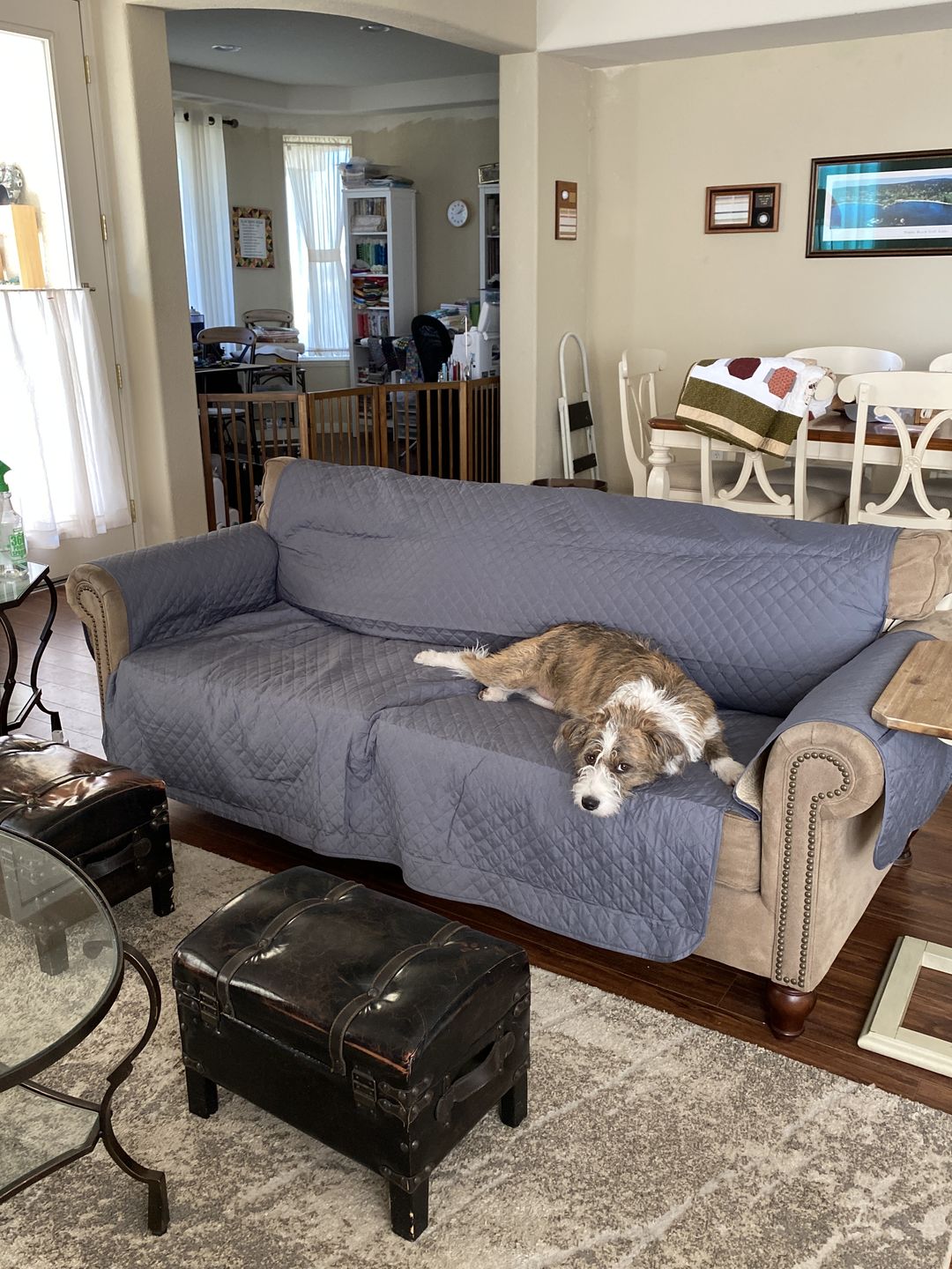 Customer photo review of NEW Machine-Washable, Dryer-Safe Furniture Protector Couch Cover With Side Pockets & Back Straps (+2-In-1 Reversible Colors!)