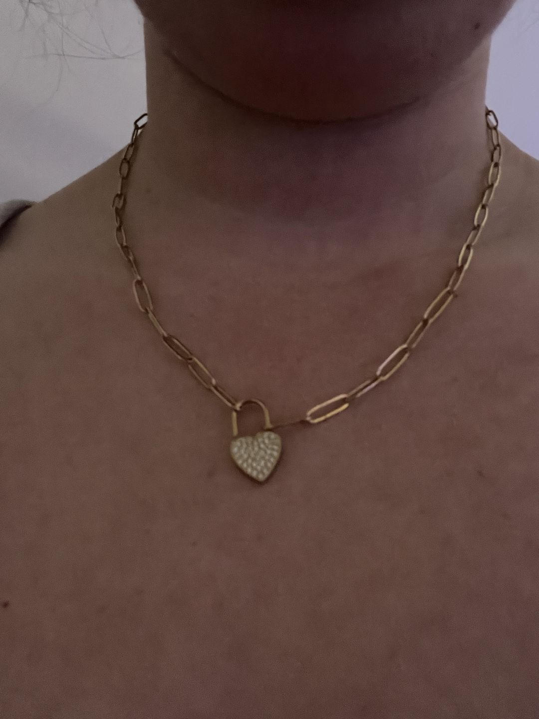 Customer photo review of Collar Candado