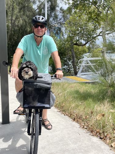 Customer photo review of All In One Pet Carrier Bag | Dog Bike Basket | Backpack for Dogs & Cats | Car Booster Seat