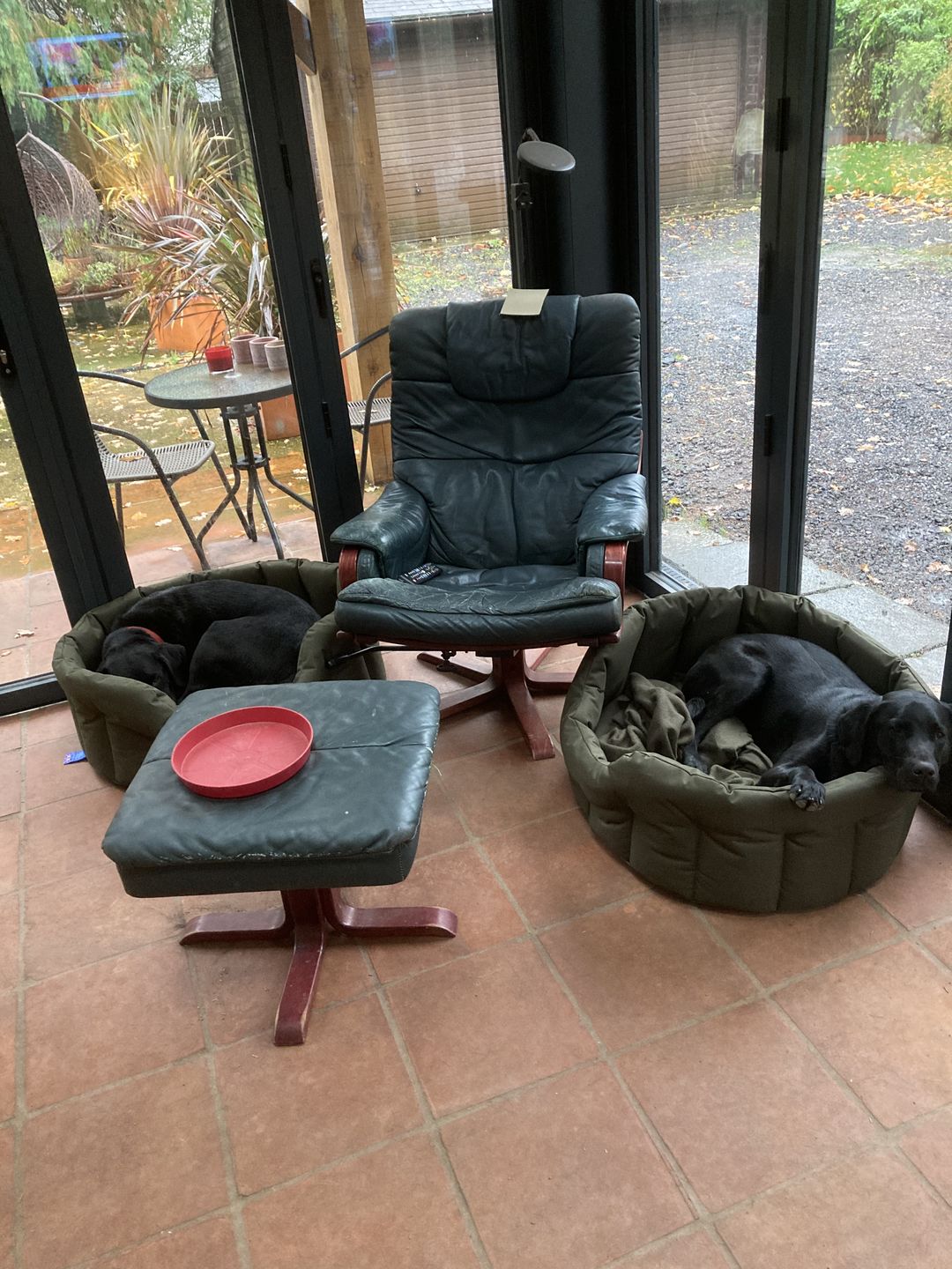 Customer photo review of Country Dog Heavy Duty Oval Waterproof Bed